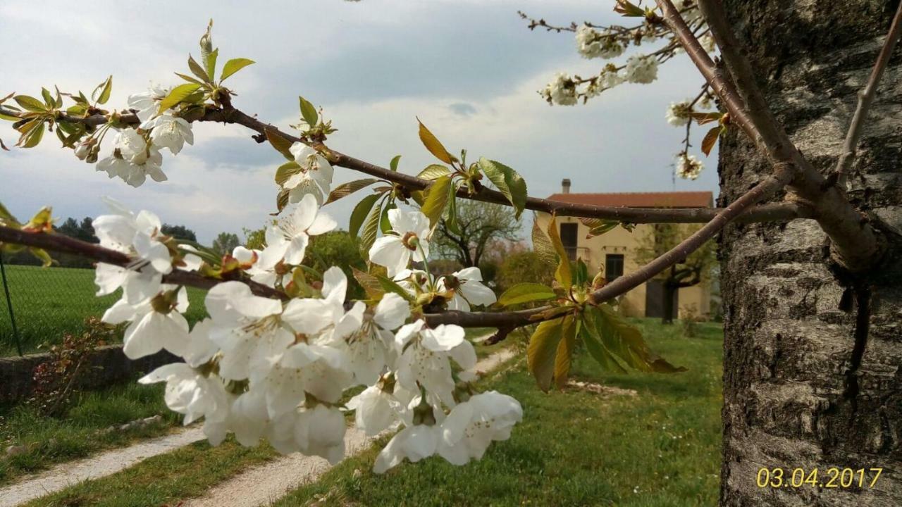 B&B Fior Fiore Spello Exteriér fotografie